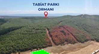 İtalyan Koyuna Komşu! Edirne, Keşan, Şabanmera’da 3935m2