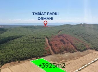 İtalyan Koyuna Komşu! Edirne, Keşan, Şabanmera’da 3935m2