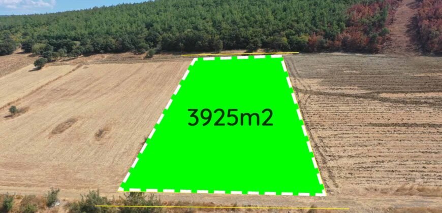 İtalyan Koyuna Komşu! Edirne, Keşan, Şabanmera’da 3935m2